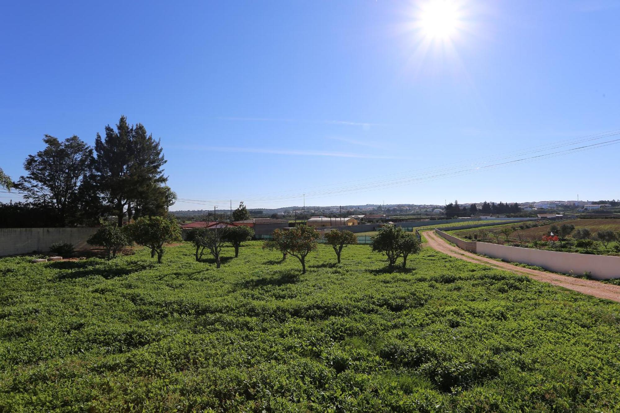 Quinta Da Ponte Apartment Odiaxere Bagian luar foto